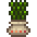 521591408966677975685.png
