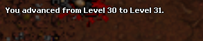 5300214164221741122358.png