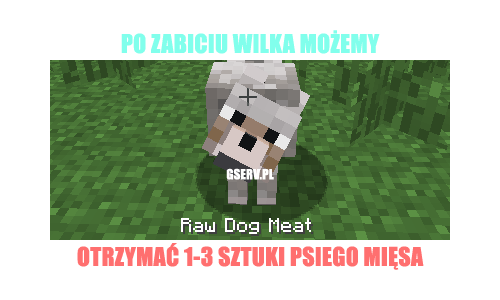 537961404366363950411.png