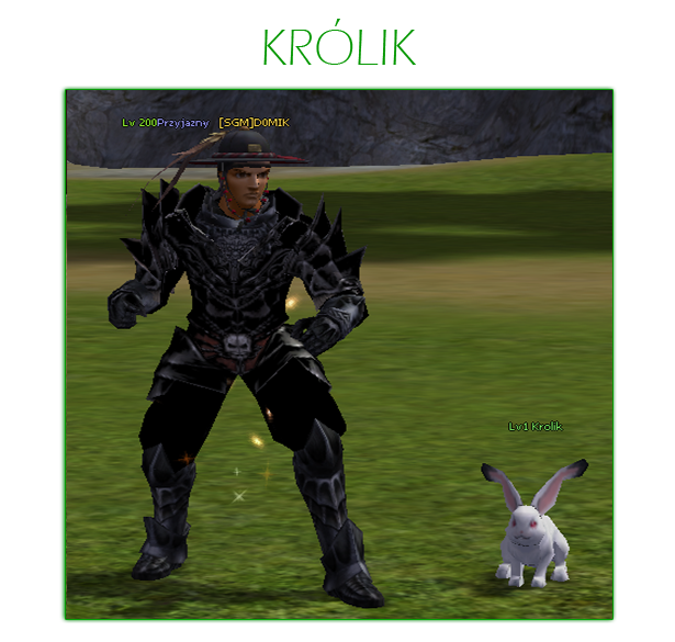 petkrolik.png