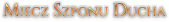547231403547536309333.png