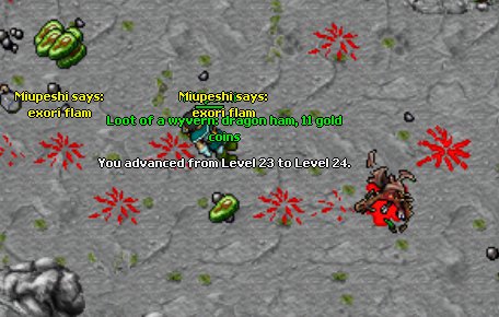 562431419854207524969.jpeg
