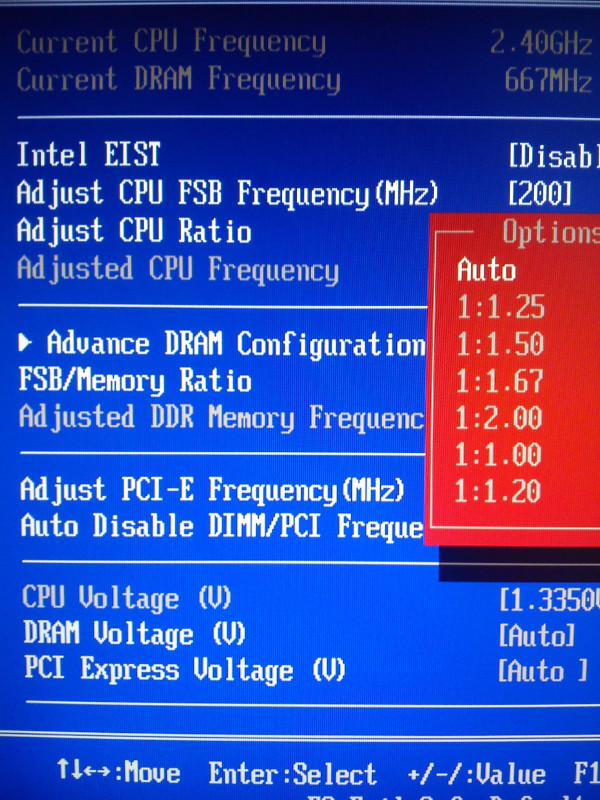 5626714387116601357462.jpeg