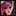 5646814870037651237309.png
