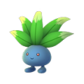 566211469210750968565.png