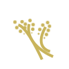 572351403623455463266.png