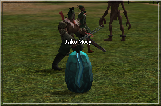 jajko.png