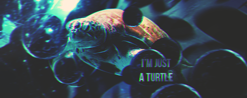 5812514072559311191981.png