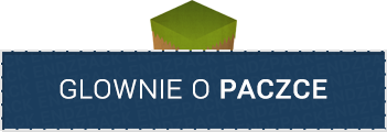 5833914176202881244311.png