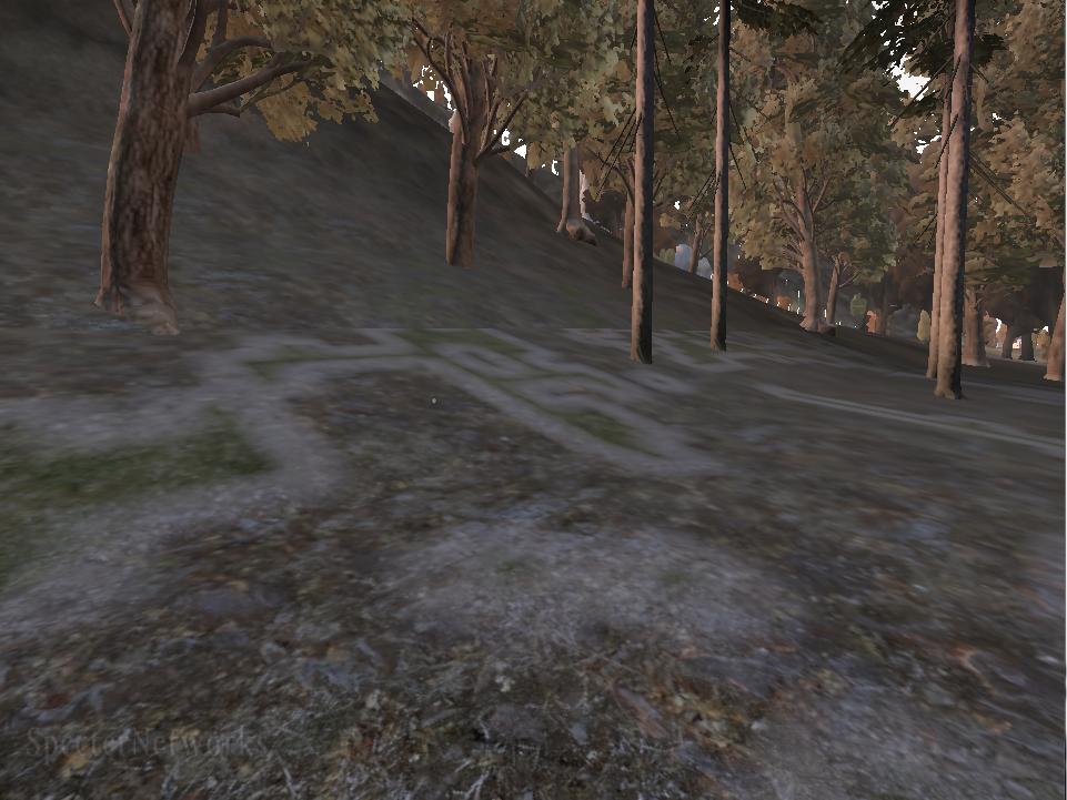 591001423592535870536.jpeg