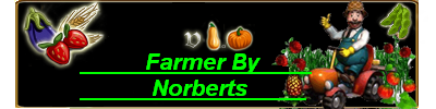 6133514096763261163335.png