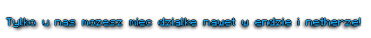 6151614042172061193207.png