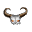 czaszkapn_eexsqqe.png
