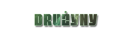647381408060338962219.png