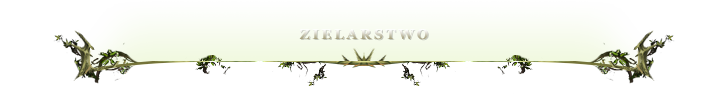 665141419622145333662.png