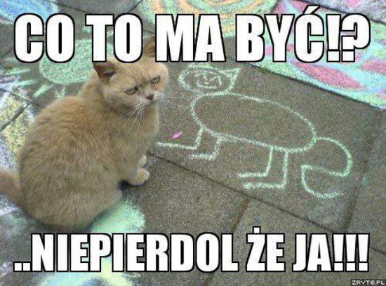 21552_22_500_Co-To-Ma-Byc.jpg