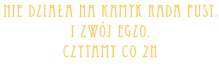 6675314196997881309613.png