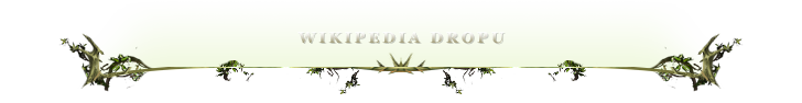 672561419622153333662.png
