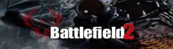 bZYf.jpg