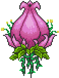 698461408733428975685.png