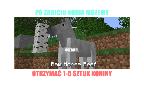 701321404366363950411.png