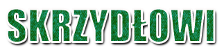 703001420653242220780.png