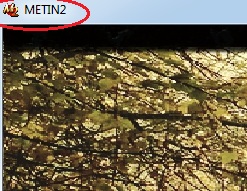 scfvvawklwsz.jpg