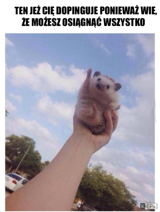 7198114927120131016689.png