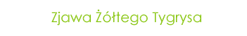 Zh0NE5.png