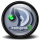 ts3.png
