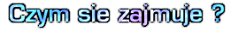 7437514079237871008869.png