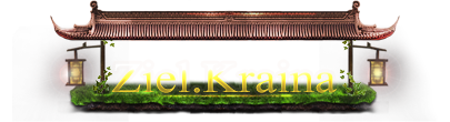 7453114049123431197046.png