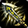 760101403727173753872.png