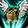 761481403728887753872.png