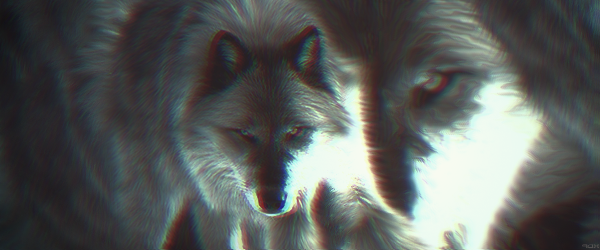 791201407698010138092.png
