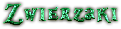 791431403436680322621.png