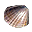 27987.png