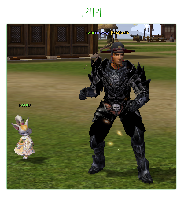 petpipi.png