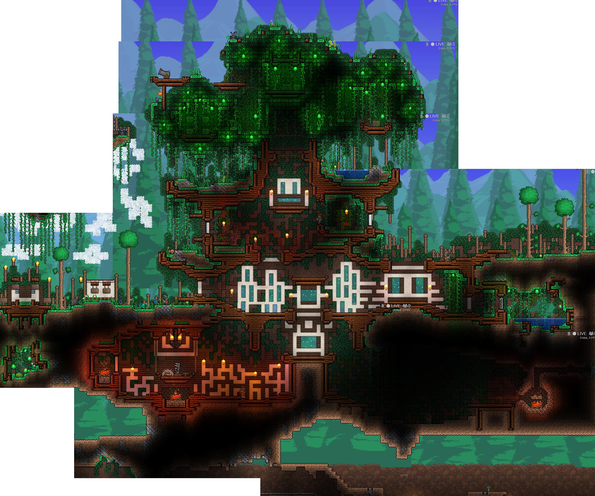 8401314303650151143028.jpeg