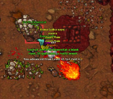 1t3vet.jpg