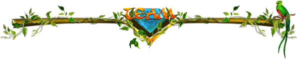 team.png
