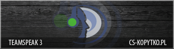 banner_ts3.png