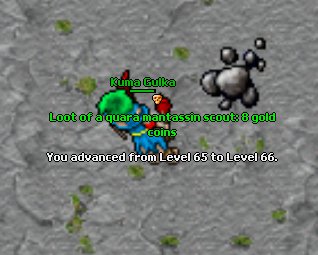 vufaf3.jpg