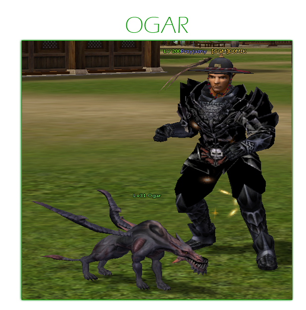 petogar.png