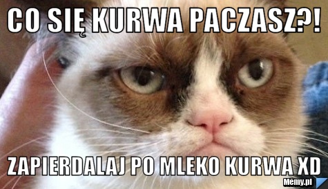 bbda632912_co_sie_kurwa_paczasz.jpg