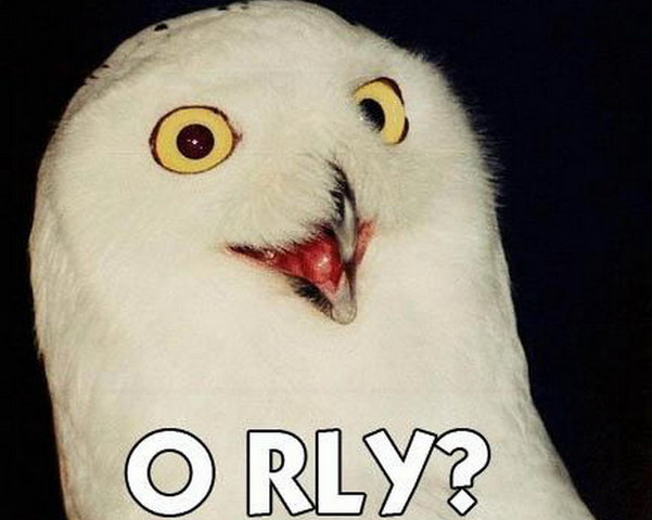 O-rly.jpg