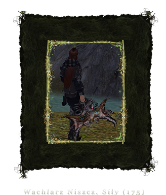 893711419622118333662.png