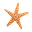 8950214204935101317980.png
