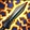 895911403727173753872.png