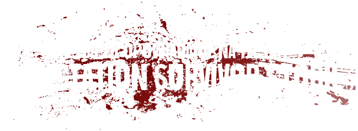 916401419237901377857.png